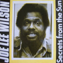 Joe Lee Wilson - Secrets From The Sun (Vinyle Usagé)