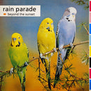 Rain Parade - Beyond The Sunset (Vinyle Usagé)