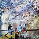 Wings - Wild Life (Vinyle Usagé)