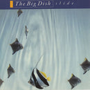 Big Dish - Slide (Vinyle Usagé)