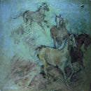 Crazy Horse - J ai Tant Besoin de Toi (Un Jour Sans Toi) (Vinyle Usagé)