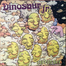 Dinosaur Jr - I Bet on Sky (Vinyle Usagé)