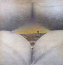 Bruce Cockburn - Salt Sun and Time (Vinyle Usagé)