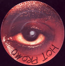 Maestro - Stick To Your Vision (Vinyle Usagé)