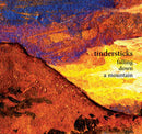 Tindersticks - Falling Down A Mountain (Vinyle Usagé)