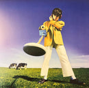 Declan McKenna - What Happened To The Beach (Vinyle Usagé)