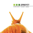 Thierry Larose - Sprint! (Vinyle Usagé)