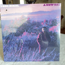 Theodore Bikel - A New Day (Vinyle Usagé)