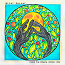 Bilal Nasser - Where The Orange Groves Grow (Vinyle Usagé)