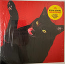 Ryan Adams - Big Colors (Vinyle Usagé)