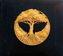 Bears Of Legend - A Million Lives (Vinyle Usagé)