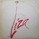 Liza Minnelli - Live at the Winter Garden (Vinyle Usagé)