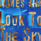 James Iha - Look To The Sky (Vinyle Usagé)