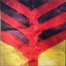 Yeah Yeah Yeahs - Show Your Bones (Vinyle Neuf)