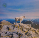 Liima  - Ii (Vinyle Usagé)