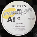 Delicious Love - Love Of My Life (Vinyle Usagé)