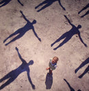 Muse - Absolution (Vinyle Neuf)