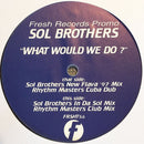 Sol Brothers - What Would We Do? (Vinyle Usagé)