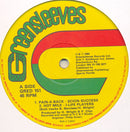 Scion Success - Pain-A-Back / Can't Leave Jah Alone (Vinyle Usagé)