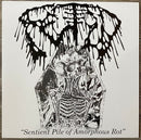 Fetid  - Sentient Pile Of Amorphous Rot (Vinyle Usagé)