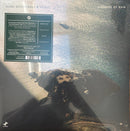 Alina Bzhezhinska / Tulski - Whispers Of Rain (Vinyle Usagé)