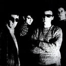 Television Personalities - The Painted Word (Vinyle Usagé)
