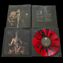 Temple Of Evil - Apolytrosis (Vinyle Usagé)