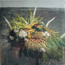 Jesse Osborne Lanthier - Left My Brain @ Can Paixano (La Xampanyeria) OST (Vinyle Usagé)