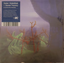 Saint Abdullah / Jason Nazary - Evicted In The Morning (Vinyle Usagé)