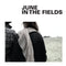 June in the Fields - June in the Fields (Vinyle Usagé)