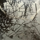 Antony And The Johnsons - Swanlights (Vinyle Usagé)