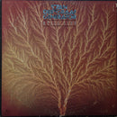Van Der Graaf Generator - Still Life (Vinyle Usagé)