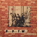 Sylum - Break Down the Wall (Vinyle Usagé)