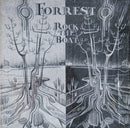 Forrest - Rock The Boat (Vinyle Usagé)