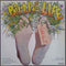 Catch Up - Birth Of The Second Life (Vinyle Usagé)