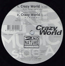 2nd Nature / Gilly-Mac - Crazy World (Vinyle Usagé)