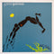 Steve Winwood - Arc of a Diver (Vinyle Usagé)