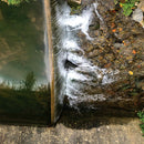 Jessica Moss - Phosphenes (Vinyle Usagé)