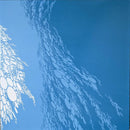 Boris  - Flood (Vinyle Usagé)