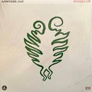 Fucked Up - Another Day (Vinyle Usagé)