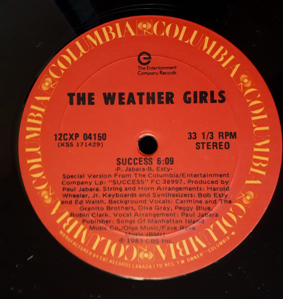 Weather Girls - Success (Vinyle Usagé)