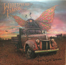 Widespread Panic - Dirty Side Down (Vinyle Usagé)