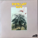 Steve Lacy - Raps (Vinyle Usagé)