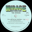 System - You Are in My System (Vinyle Usagé)