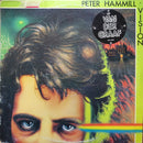 Peter Hammill - Vision (Vinyle Usagé)