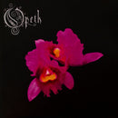 Opeth - Orchid (Vinyle Usagé)