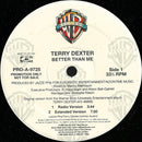 Terry Dexter - Better Than Me (Vinyle Usagé)