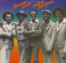 Ramsey Lewis - Dont It Feel Good (Vinyle Usagé)