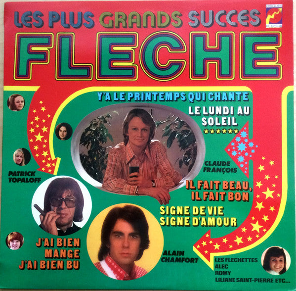 Claude Francois - Les Plus Grands Succes Fleche (Vinyle Usagé)