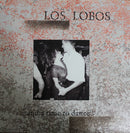 Los Lobos - And a Time to Dance (Vinyle Usagé)